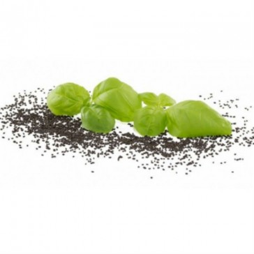 evas-apples.ch-Sprossensamen-Basilikum grün Samensprossen, Bio, 250g-32