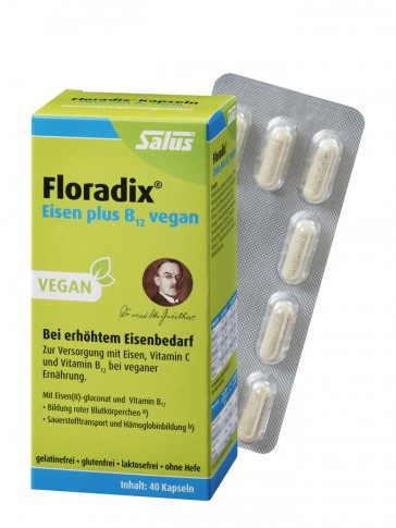 evas-apples.ch-Floradix-Floradix Eisen + B12 vegan Kapseln, 40 Kapseln-31