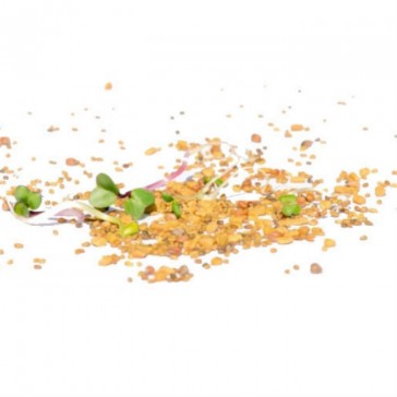 evas-apples.ch-Sprossensamen-Detox-Mix Samensprossen, Bio, 250g-33