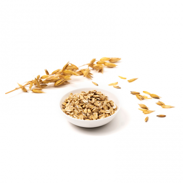 evas-apples.ch-Naturkostbar-Haferflocken angekeimt & gluteinfrei, 500g-31