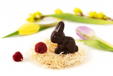 evas-apples.ch-Naturkostbar-Bean to Bunny Himbeere, 17g-31