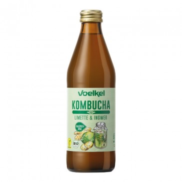 evas-apples.ch-Voelkel-Kombucha Limette Ingwer, Bio, 330ml (0.3 Depot)-31