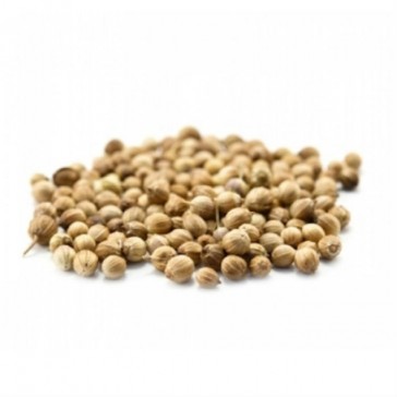 evas-apples.ch-Sprossensamen-Koriander Samensprossen, Bio, 100g-32