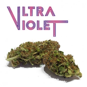 evas-apples.ch-Mister Nice-Ultra Violet 5g-31