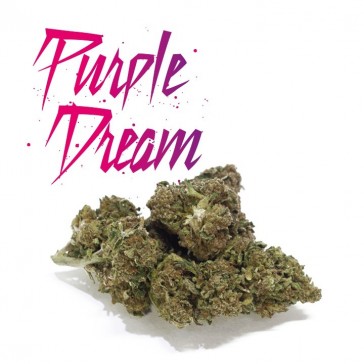 evas-apples.ch-Mister Nice-Purple Dream 5g-31