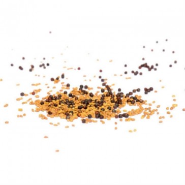 evas-apples.ch-Sprossensamen-Smoothie Mix Samensprossen, Bio, 250g-33