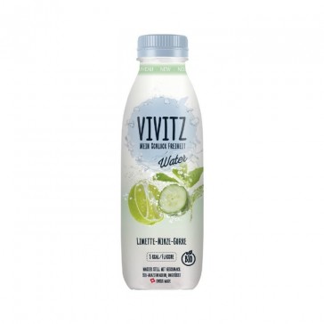 evas-apples.ch-Vivitz-Limetten-Minze-Gurken-Wasser, Bio, 500ml-31