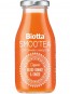 evas-apples.ch-Biotta-SmooTea Blutorange und Ingwer, Bio, 250ml-01